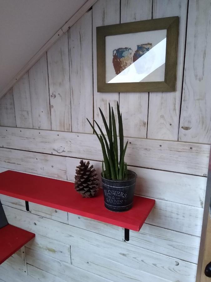 Apartamenty Zielona Gora 외부 사진