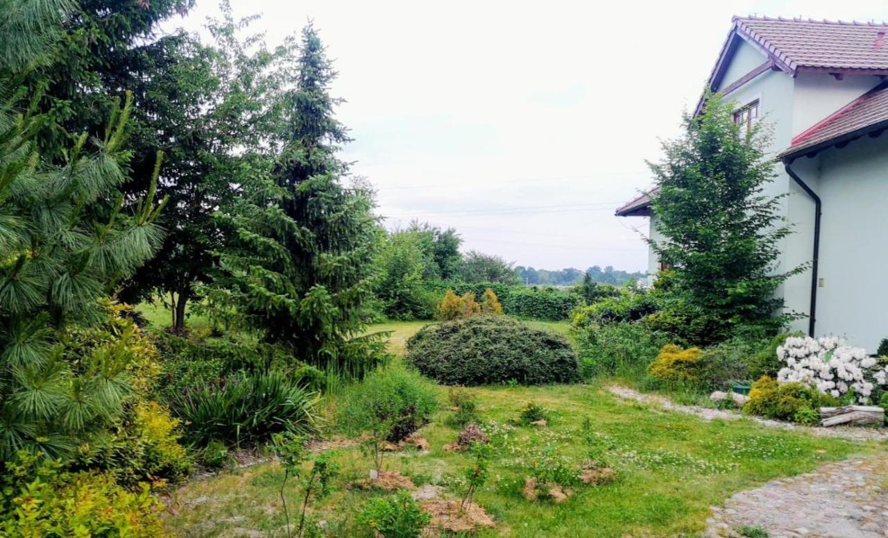Apartamenty Zielona Gora 외부 사진
