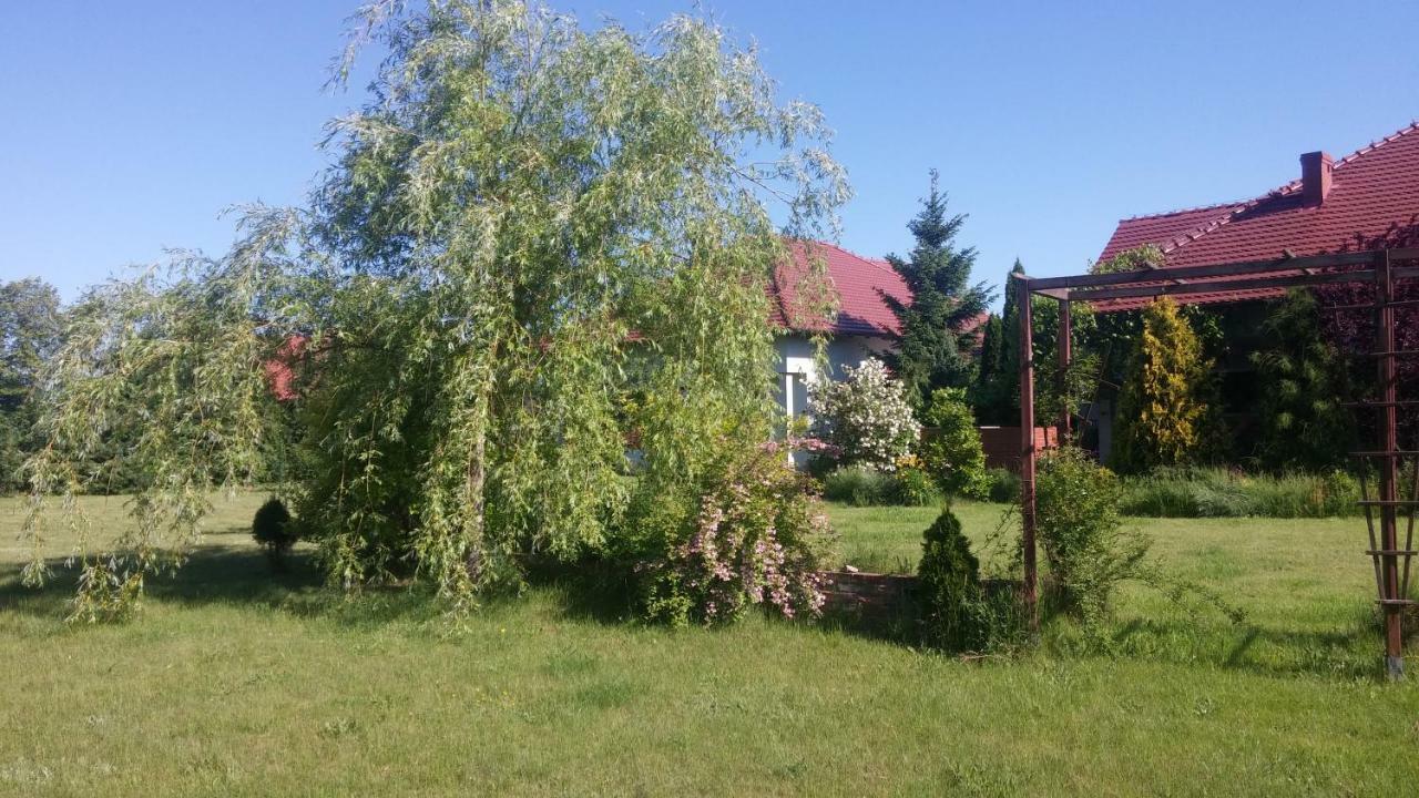 Apartamenty Zielona Gora 외부 사진
